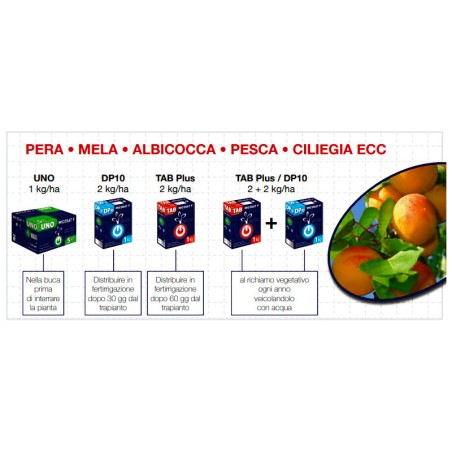 Micosat F WP DP10 Inokulum na grzyby mikoryzowe 1 kg