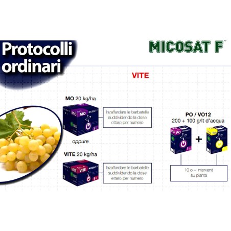 MICOSAT F MO Organischer Naturdünger 1 kg
