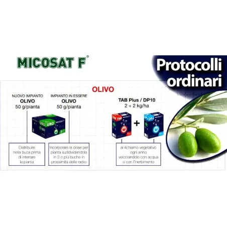 Micosat F Olive 2 kg Mycorrhizal Fungi Inoculum 2
