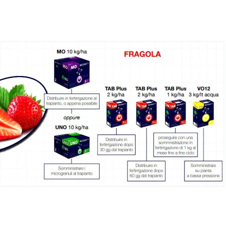 MICOSAT F MO Organiczny nawóz naturalny 1 kg