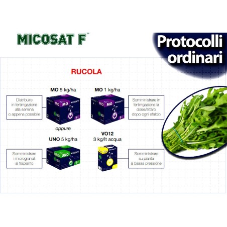 MICOSAT F UNO granulare Fertilizzante e biostimolante 2 kg