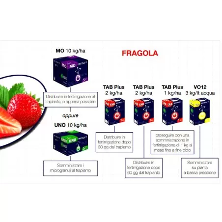 Micosat F Tab Plus WP natural fertilizer