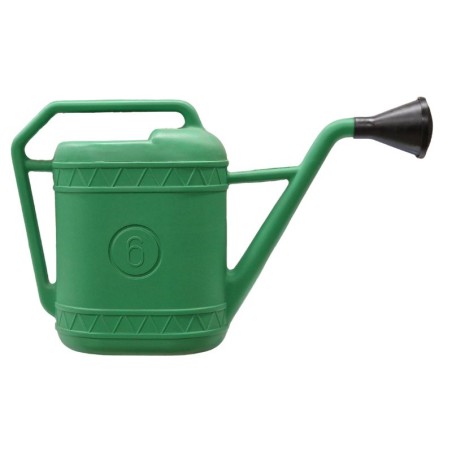Annaffiatoio da giardino con manico e nebulizzatore