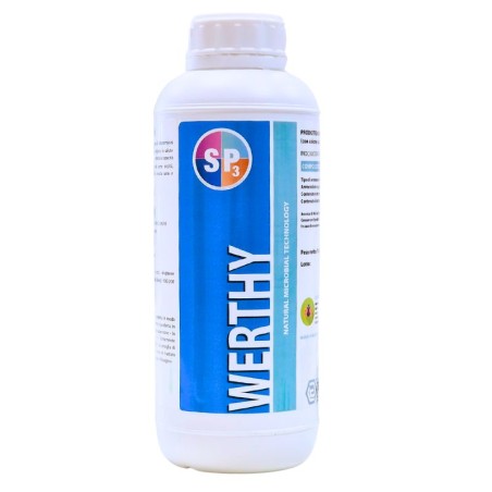 Werthy L.G. Italia micorrize Streptomyces avermitilis 1lt