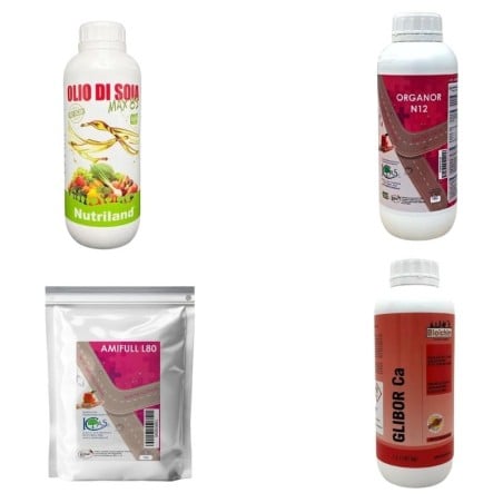 Kit trattamento olivo luglio - nutrizione estiva e migliore consistenza dei frutti 2