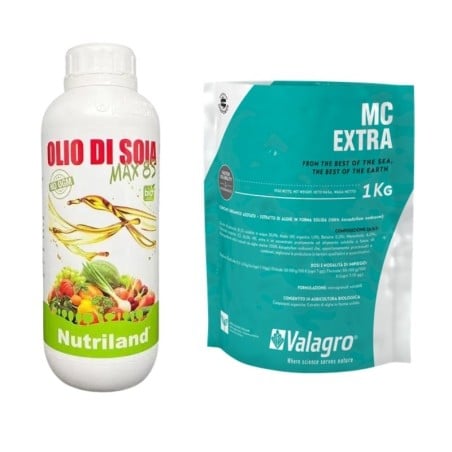 Kit trattamento olivo ottobre - supporto alla maturazione finale e accumulo delle riserve 2