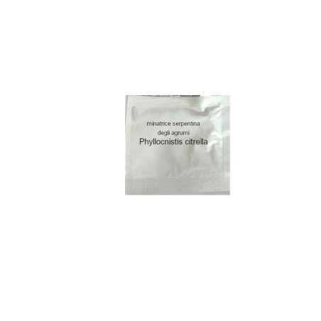 Feromone attrattivo per la minatrice serpentina Phyllocnistis citrella 1pz