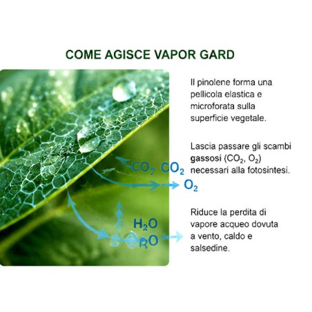 Vapor Gard Antitraspirante piante naturale BIOGARD Pinolene