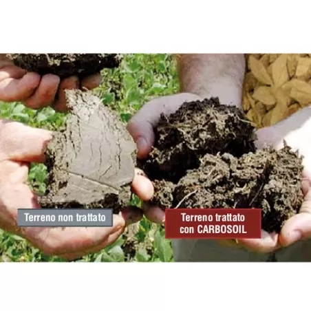Carbosoil concime con acidi carbossilici promotore... 2