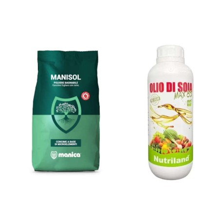 Kit trattamento olivo – protezione dal caldo e mosca... 2