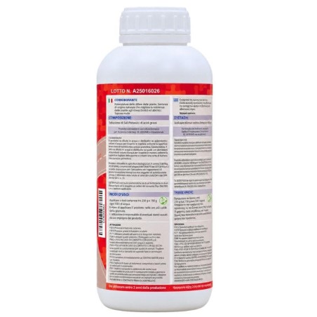 Deter Plus Combi care Icas Sapone Molle retro 1 lt