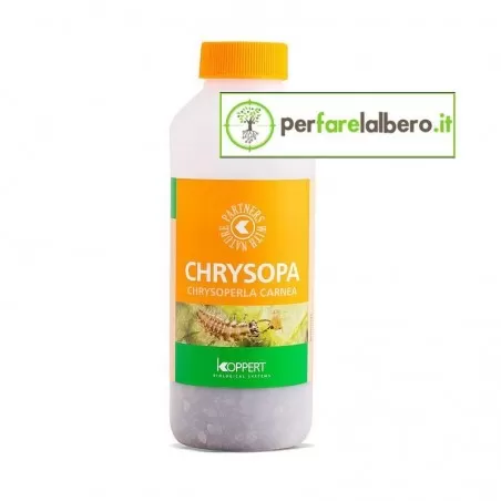CHRYSOPA KOPPERT Chrysoperla carnea przeciwko mszycom... 2