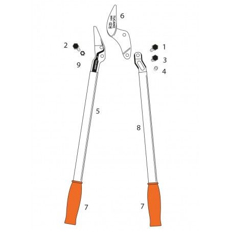 Professionelle Astschere Schere 60/80 Castellari
