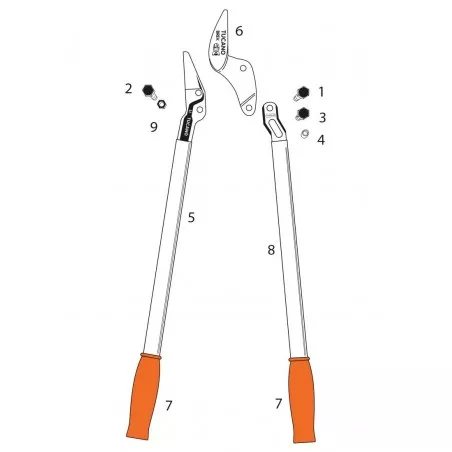 Professionelle Astschere Schere 60/80 Castellari