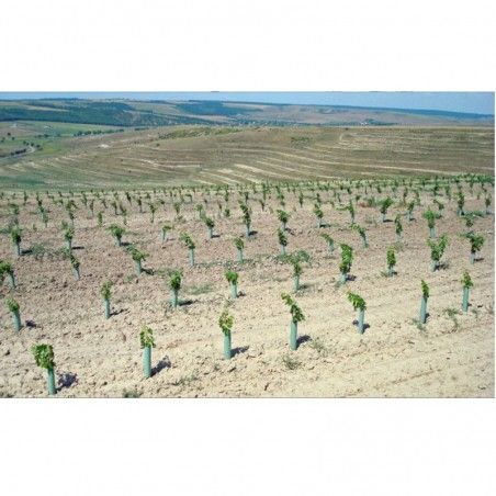 Tubex Fruitwrap protezione alberi da frutto 2