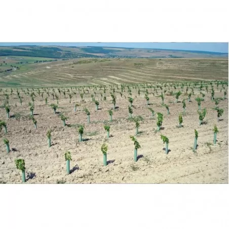 Tubex Fruitwrap protezione alberi da frutto