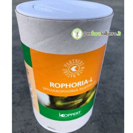 Rophoria-L Syrphidae Sphaerophoria rueppellii contro afidi 1000 larve