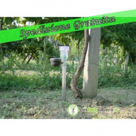 Tensiometro misuratore di umidità del terreno