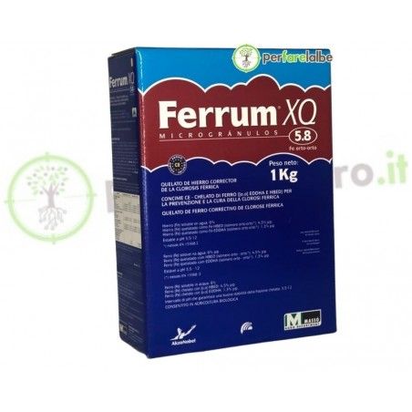 FERRUM XQ 5.8 Chelat żelaza Massò Agro
