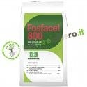 FOSFACEL 800 Cosmocel Concime fogliare NP 11 58 migliora l’allegagione