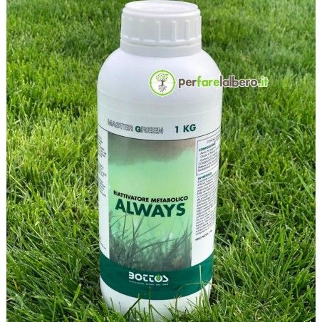 Bottos Master Green Always Naturalny organiczny biostymulant do murawy