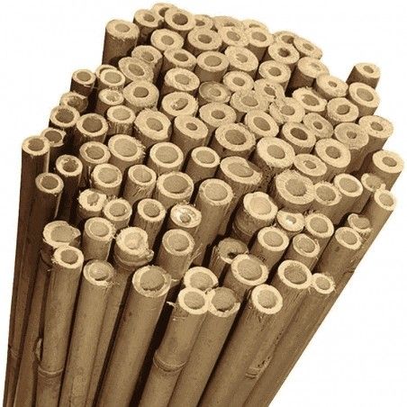Canne di Bamboo Tutore Pianta vari modelli (1 mazzo)