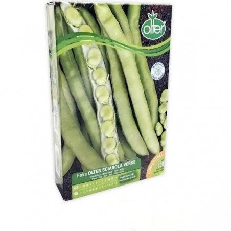 Semi Fava Olter Sciabola Verde