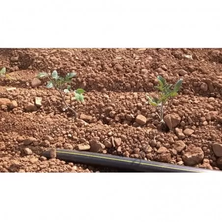 Jain Turbo Slim TE Dripline Seasonal Flat Dripper