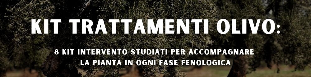 banner kit trattamenti olivo