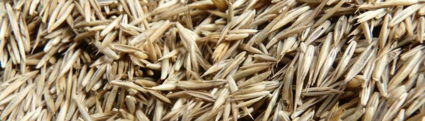 semina prati